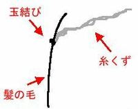 気がつくと髪の毛の先端に白い毛のようなものが絡まっていることがありますが あれ Yahoo 知恵袋