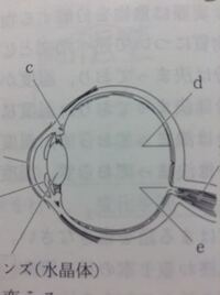 シャーマンキングの最終回ってどういう終わり方なんですか プリンセス Yahoo 知恵袋