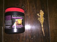 ゴキブリよけのハーブクローブというハーブがゴキブリの嫌い臭いだと知恵袋で見つ Yahoo 知恵袋