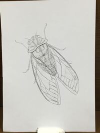 至急回答 500枚 明日夏休みの課題提出で細密画を提出するの Yahoo 知恵袋