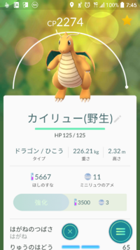 このカイリューの判定お願いします 技鋼の翼龍の息吹このポケモンは全体的に Yahoo 知恵袋