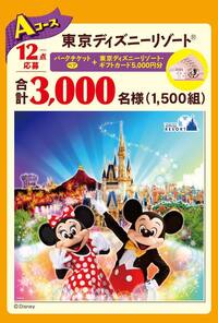 ヤマザキの秋のおいしいキャンペーンのa賞ディズニーペアチケットに応募する Yahoo 知恵袋