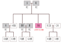 相続人の範囲について

独身の叔母が亡くなった場合の相続人の範囲がイマイチわからないのでお伺いします。

私から見ると叔母なのですが、叔母自身は独身であり、過去結婚歴も出産歴もありません。 血を分けた兄妹のうち、姉と妹が生存しております。
その姉と兄、妹にはそれぞれ子がおり（当該本人からすると甥にあたる）
甥が6人おります。

この叔母が亡くなった場合、相続人はどのようになる...