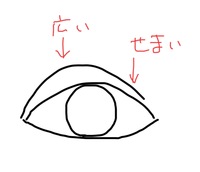 このような目頭側のほうが二重幅の広い末広二重は整形で作れますか また Yahoo 知恵袋