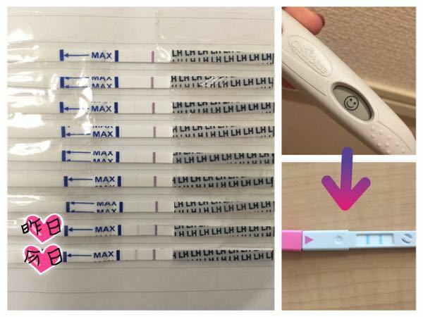 女の子の産み分けについて ドクターズチョイスワンステップ排卵検査薬とクリ Yahoo 知恵袋
