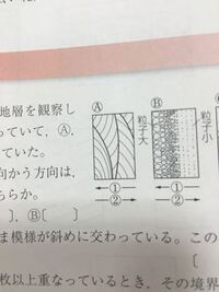 斜交葉理の上下の見分け方がわかりません。 どなたか理由と一緒に教えてください。