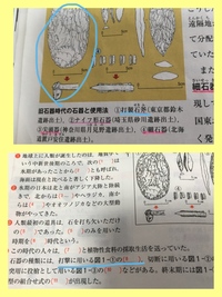 日本史、旧石器時代の打製石斧と握槌の違いについて。下の画像で、上