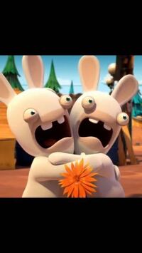 2匹のウサギの1話1分くらいのアニメの名前をおしえてください 昨 Yahoo 知恵袋