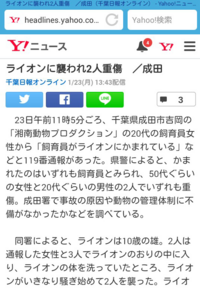 松島とも子がライオンとクイズ スター名鑑で共演した次の日に ライオン Yahoo 知恵袋