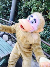 よくロストリバーデルタ辺りにいる この猿はなんて名前ですか 又 なんの映画 Yahoo 知恵袋