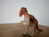 パキケファロサウルスは その硬い頭で他の恐竜を倒すこともあっ Yahoo 知恵袋