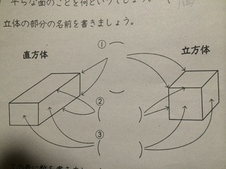 この図形の立体の部分の名前わかる方よろしくお願いします 頂点 Yahoo 知恵袋