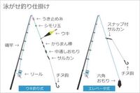 ハヤ アブラハヤ カワムツ ヌマムツ を餌にブラックバスの泳がせ釣り Yahoo 知恵袋