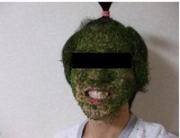 なんという皮膚病でしょうか 教えてください 顔一面の皮膚に緑のコケの Yahoo 知恵袋