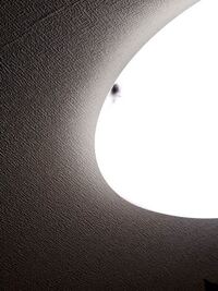 最近 家のリビングの電気に小さな虫が大量にたかっていました 最初 Yahoo 知恵袋