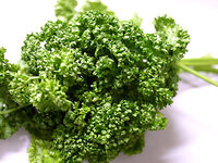 セロリとパセリ 貴方はどっちが嫌いですか セロリ パセリ セリ Yahoo 知恵袋