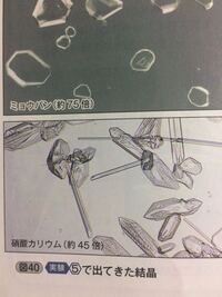 中学生理科 結晶は 純粋な物質で規則正しい形をした個体 とあったの Yahoo 知恵袋
