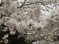 子供の写真を加工アプリで使うことに対して疑問 私24歳専業 Yahoo 知恵袋