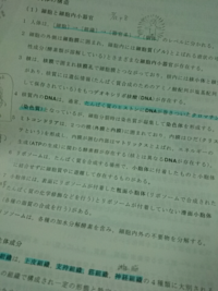 こういうタイプの授業プリントって どうやって勉強 暗記 するのがいいので Yahoo 知恵袋