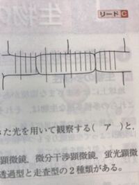 生物基礎の顕微鏡のしぼりの話です 教科書には 低倍率で観察するときはしぼ Yahoo 知恵袋