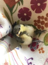 Sekainoowariの眠り姫って何を意味してる歌なんですか 歌詞 Yahoo 知恵袋