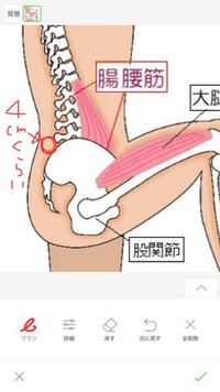 腰しこりお尻の付け根の倦怠感腰から足首まで倦怠感 閲覧ありがとう Yahoo 知恵袋