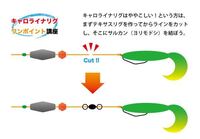 アメリカでは カロライナリグなのに なんで日本ではキャロライナリグって呼ぶので Yahoo 知恵袋