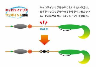 アメリカでは カロライナリグなのに なんで日本ではキャロライナリグって呼ぶので Yahoo 知恵袋