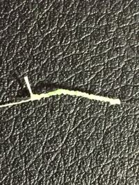 エギングについて 堀田式fgノットを初心者なりにゆっくりやったんですけど Yahoo 知恵袋