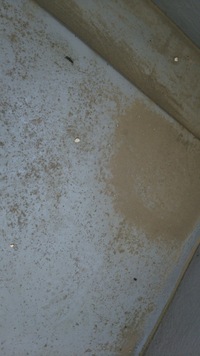 今朝ベランダに落ちていた糞です 調べてみると ねずみかコウモリの糞に似ているので 教えて 住まいの先生 Yahoo 不動産