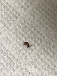 現在２９週の妊婦です 美容院のシャンプー台って 結構お腹が辛いです Yahoo 知恵袋