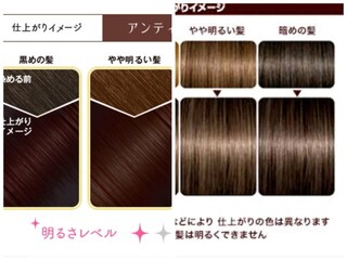 ヘアカラーについて質問です 私は以前黒髪にアンティークショコラをいれ Yahoo 知恵袋