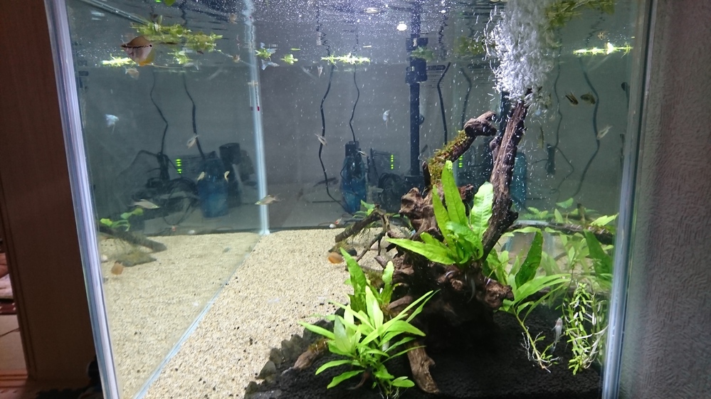 90cm水槽の水流について質問があります。GEXのグランデ900とい