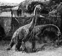 どなたかこの恐竜 ブラキオサウルス の掲載された恐竜図鑑をご存知の方おられませ Yahoo 知恵袋