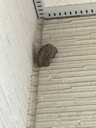 わが家の玄関口にいつの間にかできていたのですが これって蜂の巣でしょうか ツバ Yahoo 知恵袋