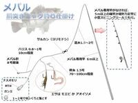 メバルの胴突仕掛けのオモリの重さですが ナス型オモリ1号 2号 3 5 8g とガ Yahoo 知恵袋