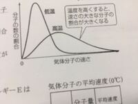 気体分子の熱運動はこのようなグラフになると教わったのですが なぜ同じ Yahoo 知恵袋