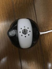 アースノーマット を買ったんですが 蚊1匹死ぬのにどれぐらいの時間 アースノ Yahoo 知恵袋