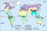 針葉樹林と照葉樹林 広葉樹林の広がりについて質問です 高校の地理や地学の Yahoo 知恵袋