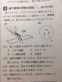 中学理科3年です 2 の問題ですが なぜ試料が乾いてはいけないのですか Yahoo 知恵袋