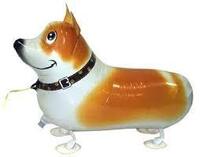 家に犬を飼っています その犬は風船が始めてなので前買った風船10個を使って 風 Yahoo 知恵袋