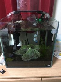 熱帯魚ベタの寿命が短いのには 何か理由があるのでしょうか また ベタ Yahoo 知恵袋