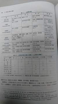 理学療法士を目指しています 筋肉の起始停止 働き 神経支配を覚えよう Yahoo 知恵袋