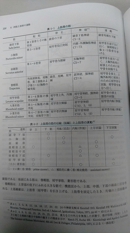 理学療法士を目指しています 筋肉の起始停止 働き 神経支 教えて しごとの先生 Yahoo しごとカタログ