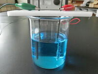 簡単すぐ終わるかつまとめやすい中学生らしい自由研究のテーマってなんですか Yahoo 知恵袋