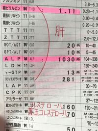 お尋ねしたいんですが Alpの値が高いんですが 正常ですか 子供です Yahoo 知恵袋