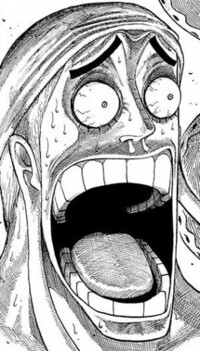 ワンピース でゴーイングメリー号を空島で誰かが直してましたが Yahoo 知恵袋