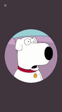この犬のキャラクター名前を教えて下さい 米アニメ ファミリー ガイ に登 Yahoo 知恵袋