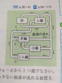 タマネギの細胞観察について 学校の実験でタマネギの表皮観察を Yahoo 知恵袋
