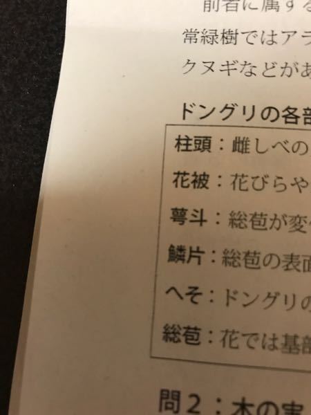 読み方教えてください 上からちゅうとうかひわかりませんりんぺん Yahoo 知恵袋